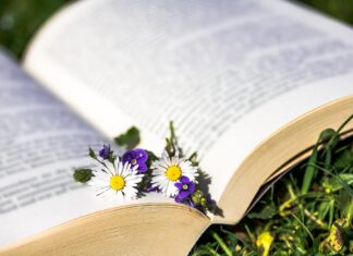 Munții Rodnei: între refugiu și lectură