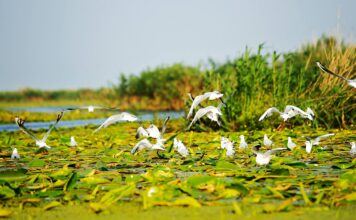 Finanţare europeană pentru patru rute turistice şi culturale din România Delta Dunării