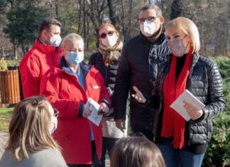 Gabriela Firea: „PNL trebuie să își asume responsabilitatea”