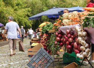 Cioloș condamnă decizia de închidere a piețelor, dar are și o soluție – piețele volante