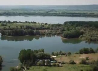 Belina revine în domeniul public al statului