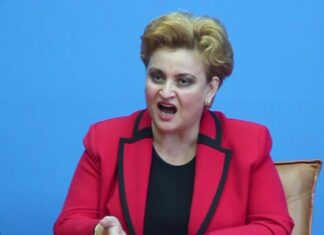 Profil de candidat – Grațiela Leocadia Gavrilescu, pentru Camera Deputaților, din partea PSD Grațiela-Leocadia Gavrilescu