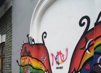 Zvastica desenată pe muralul asociației Accept. Oamenii lui George Simion, bănuiți