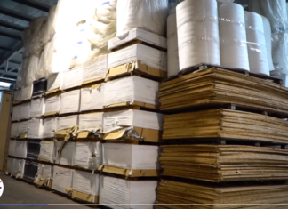 Piedone, Economatul și pinguinii din sectorul 5