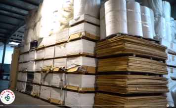 Piedone, Economatul și pinguinii din sectorul 5