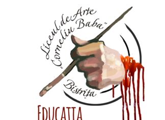 Două clase vocaționale, unice în județul Bistrița-Năsăud, vor fi desființate