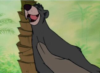 Baloo din România: imagini amuzante cu un urs, surprinse în Parcul Național Retezat