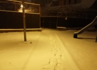 Primarul Sectorului 5 face apel la spiritul civic al bucureștenilor