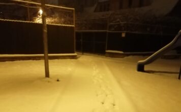 Primarul Sectorului 5 face apel la spiritul civic al bucureștenilor