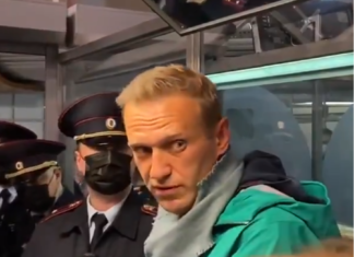 Alexei Navalnîi, reținut la intrarea în Rusia