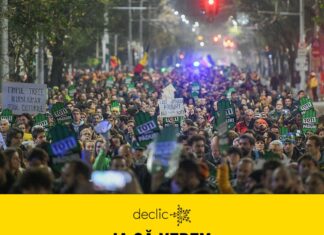 Petiție Declic: Monitorizare video a transporturilor de lemn Foto: Facebook Declic