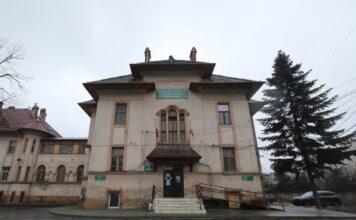 Evaluare a gradului de epuizare în rândul cadrelor medicale de la „Victor Babeș” Timișoara