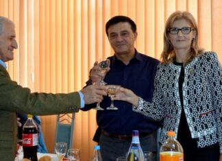 Deputata PSD Elena Dinu: petrecere cu manele și amenzi Foto: G4Media