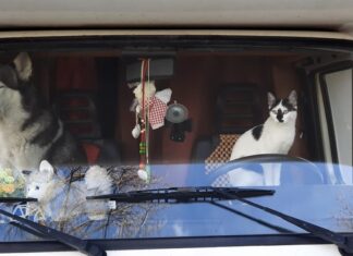 S-a mutat din apartament, direct în autorulotă: cum arată viața când ești turist full-time