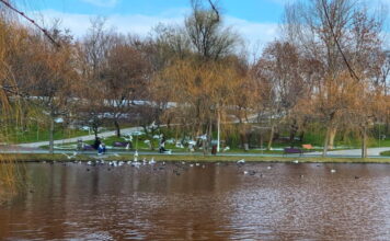 IOR are acum propriul „lac roșu”. Ce spune Garda de Mediu