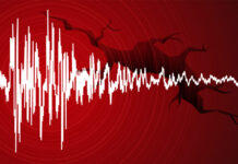 Cutremur puternic în România, resimțit și în București