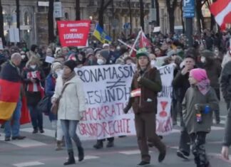 Protest comandat de extrema-dreaptă, la Viena