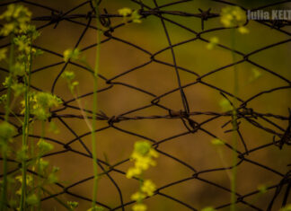 Paranghelie, ouă, Paște și beție. Iisus se descurcă și singur să învie