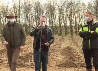 Arthur nu era cel mai mare urs din Europa. Cel mai mare urs se află, în continuare, la Cotroceni