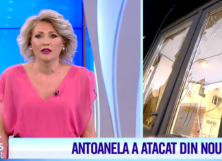Mirela Vaida, urmărită de ghinion. Agresoarea Antoanela s-a întors la Acces Direct