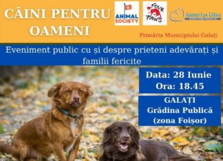 Animal Society, liantul dintre animalele nimănui și inimile bipezilor, revine în Galați