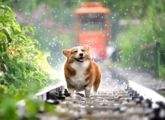 Fie ploaie, fie vânt, românul își ia avânt… în vacanță