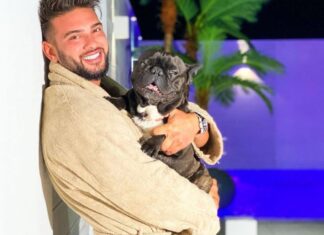 Dorian Popa, Cheluțu și „fabrica de bani”