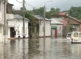 Ziua Cârtiței: autoritățile cască ochii mari, a mirare, în fiecare an, de „inundații”