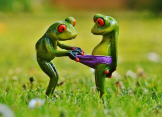 Care e, până la urmă, diferența dintre chiloți și slipul de plajă?