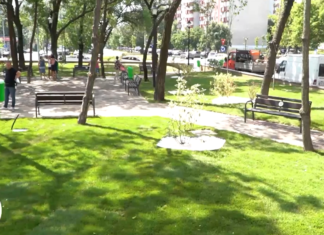 Cercetători: Spațiile verzi îngreunează îmbătrânirea oamenilor