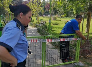 Ca urmare a atenționării de vreme rea în Capitală, Primăria Sectorului 5 dispune măsuri pentru a preveni eventuale tragedii