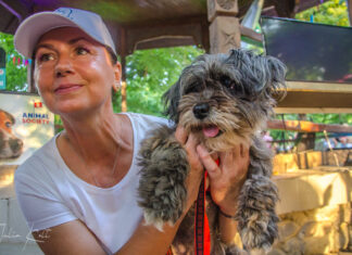 Animal Society îi invită pe iubitorii de animale din Galați să ia parte la o nouă lecție de empatie