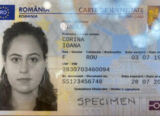 CNCD: „SEX” vs „GEN”, o temă falsă pe care unii vor să o exploateze