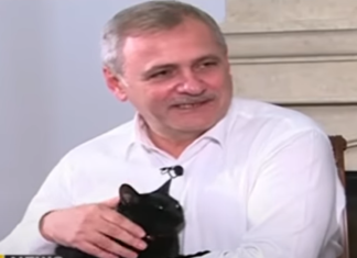 Liviu Dragnea s-a îndrăgostit la Rahova: de cafea și de-o pisică neagră