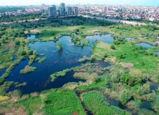 Nicușor Dan, despre parcurile din Capitală