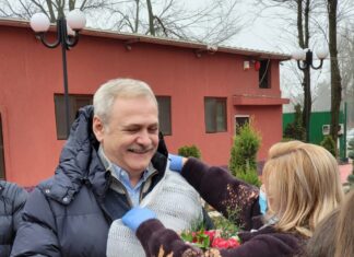 Liviu Dragnea, întâmpinat cu „pâine și sare” în Teleorman