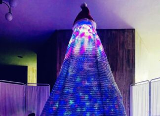 Primul „brad” împotriva COVID-19