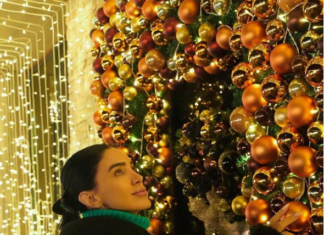 Adelina Pestrițu și bradul de Crăciun, decorat într-un mod inedit