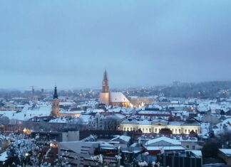 Boc a cerut corelarea ratei de infectare cu numărul de teste