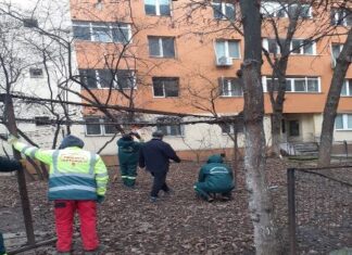 Primăria Sectorului 5: raport de activitate pentru perioada 3-7 ianuarie 2022