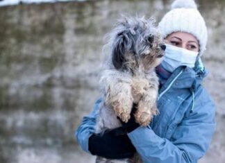 Care for Dogs: “Cine salvează pe cine când salvăm un câine?” Facebook Care For Dogs România