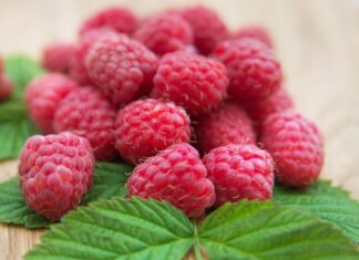 Fructul minune care creşte fertilitatea și previne apariția cancerului Zmeura