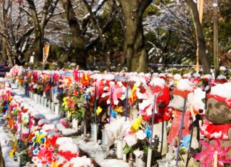 Cei 109 martiri ai Ucrainei