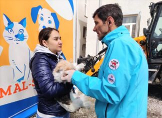 Comuna Smârdan din Galați a încheiat, cu succes, campania de sterilizare a animalelor de rasă comună Sursă foto: Facebook/Animal Society