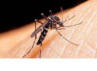 Oamenii de știință avertizează: Există riscul să apară un nou focar de virus Zika