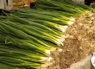 Ceapa verde, soluția naturală pentru un ten frumos și sănătos Ceapa verde