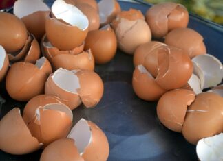 O persoană necunoscută a aruncat cu ouă în geamurile casei Dianei Șoșoacă Sursa foto: Pixabay