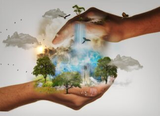 A fost acordat titlul de “Apărător al Pământului” Sursa foto: Pixabay