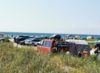 Amenzile pentru campare ilegală în Rezervația Delta Dunării vor fi majorate cu 800% Foto: Facebook/Radio Eco Natura