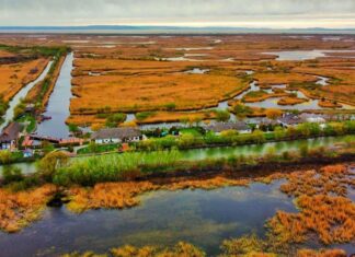 Evenimentele lunii mai: “Festivalul bujorilor” și “Parastasul Piraților Nemaipomeniți” Sursa foto: Asociația Delta Dunării